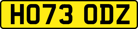 HO73ODZ