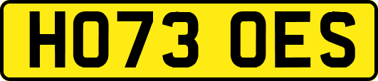 HO73OES