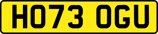 HO73OGU