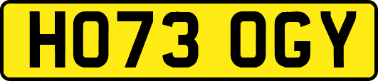 HO73OGY
