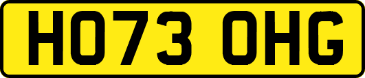 HO73OHG