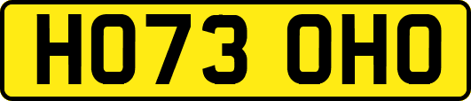 HO73OHO