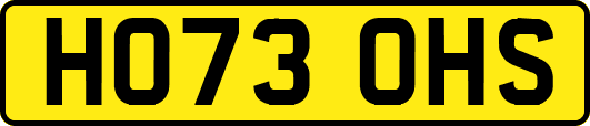 HO73OHS