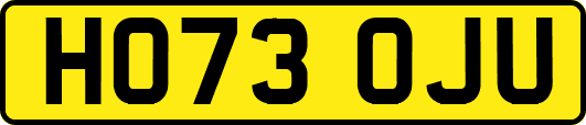 HO73OJU