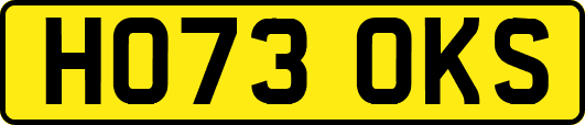 HO73OKS