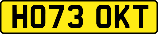 HO73OKT