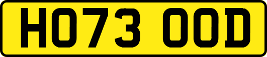 HO73OOD
