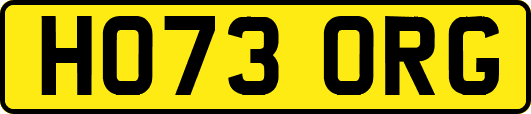 HO73ORG