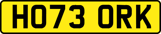 HO73ORK