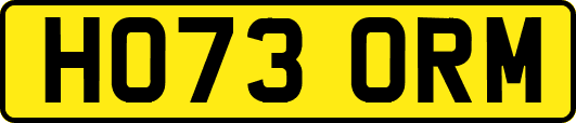 HO73ORM
