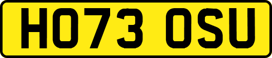 HO73OSU