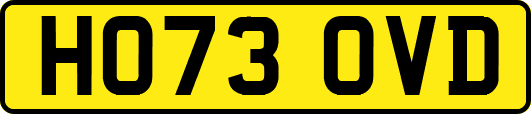 HO73OVD