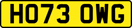 HO73OWG