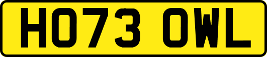 HO73OWL