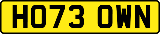 HO73OWN