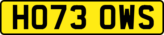 HO73OWS