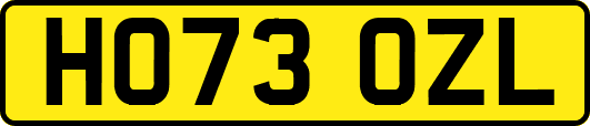 HO73OZL