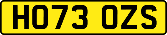 HO73OZS