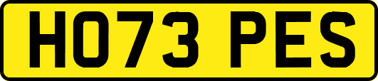 HO73PES