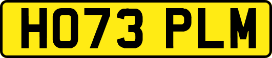 HO73PLM