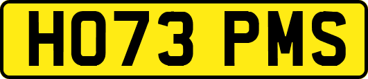 HO73PMS