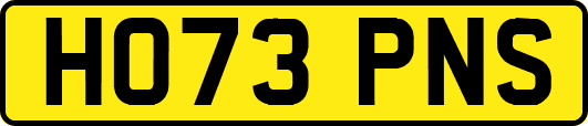 HO73PNS