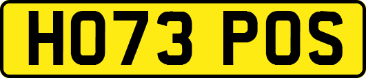 HO73POS