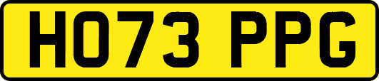HO73PPG