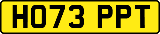 HO73PPT