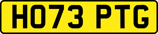 HO73PTG