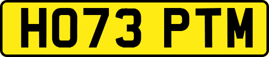 HO73PTM