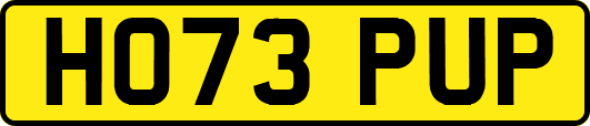 HO73PUP