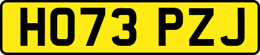 HO73PZJ