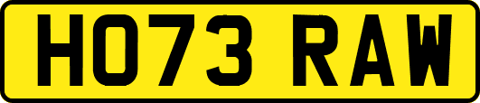 HO73RAW