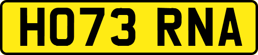 HO73RNA