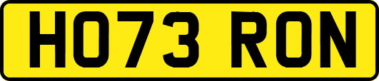 HO73RON