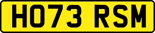 HO73RSM