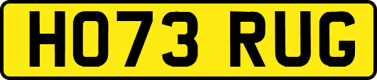 HO73RUG