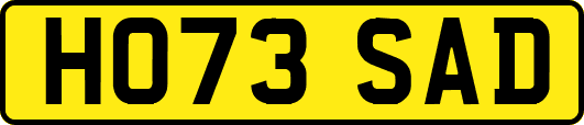 HO73SAD