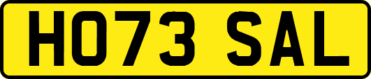 HO73SAL
