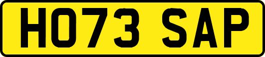 HO73SAP