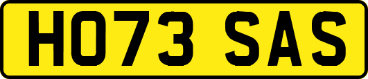 HO73SAS
