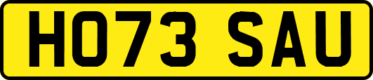 HO73SAU