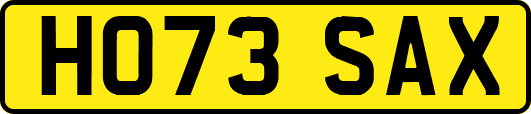 HO73SAX