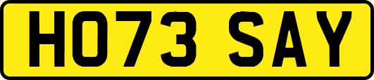 HO73SAY