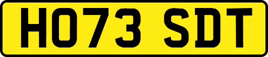 HO73SDT