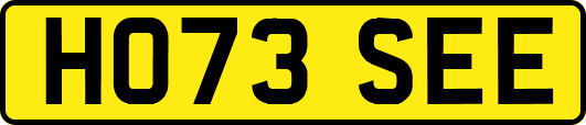 HO73SEE