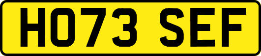 HO73SEF