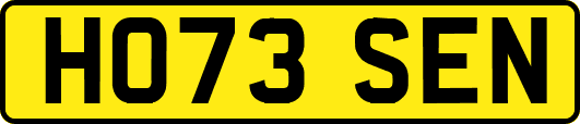 HO73SEN