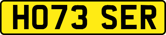 HO73SER